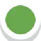 Age gate button green