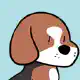 Beagle dog