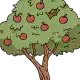 Apple tree